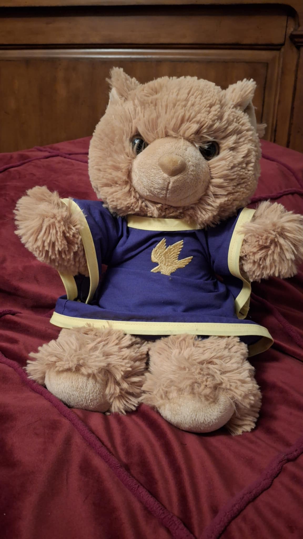 Falcon teddy bear